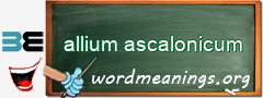 WordMeaning blackboard for allium ascalonicum